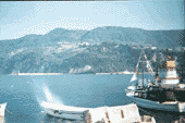 AMASRA