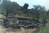 An Antique Remainder in Patara
