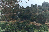 An Antique Remainder in Patara