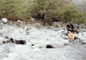 Daylight View To Chimaera's Flames