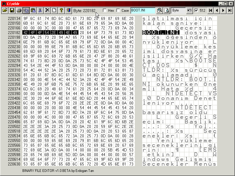 BINARY FILE EDITOR program