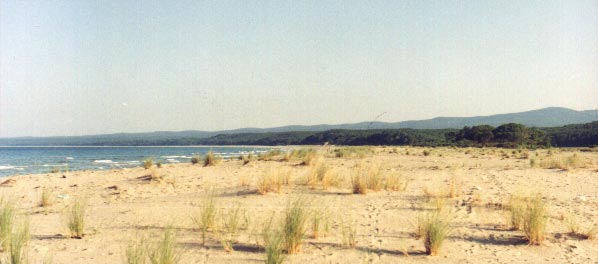 IGNEADA Coast