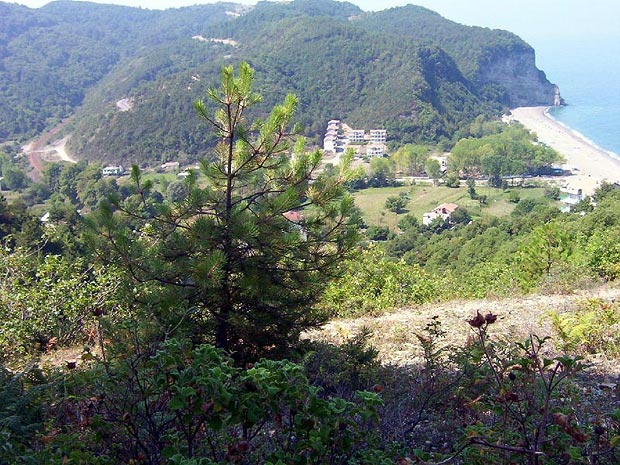 G�b� Sahili - Trenyolu - Karayolu- Tepek�y